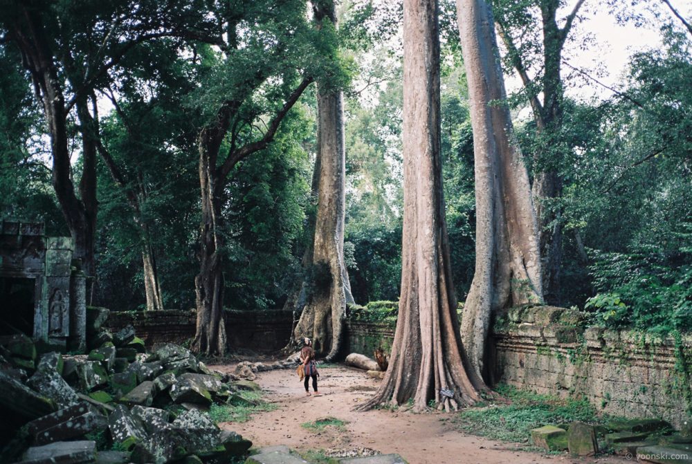 Siem Reap, Cambodia, 20141009-4